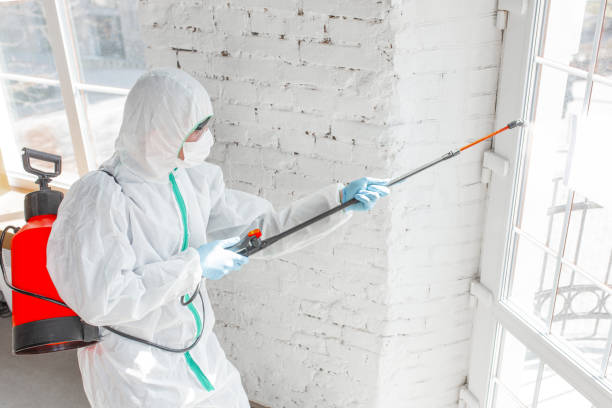 Waterville, ME Mold Removal Services Company