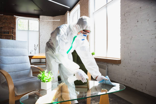 Best Comprehensive Air Testing for Mold Contaminants  in Waterville, ME