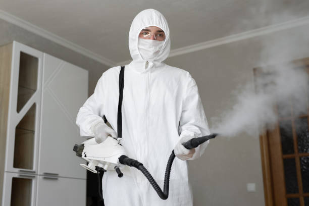 Best Environmental Consulting for Mold Prevention  in Waterville, ME